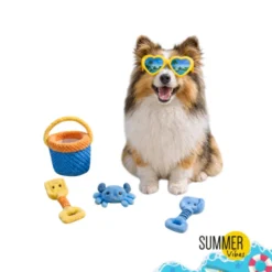 Summer Vibes Beach Set x4 Kit de Brinquedos para cães