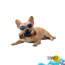 Summer Vibes Chew Dumbbell Mordedor para cães