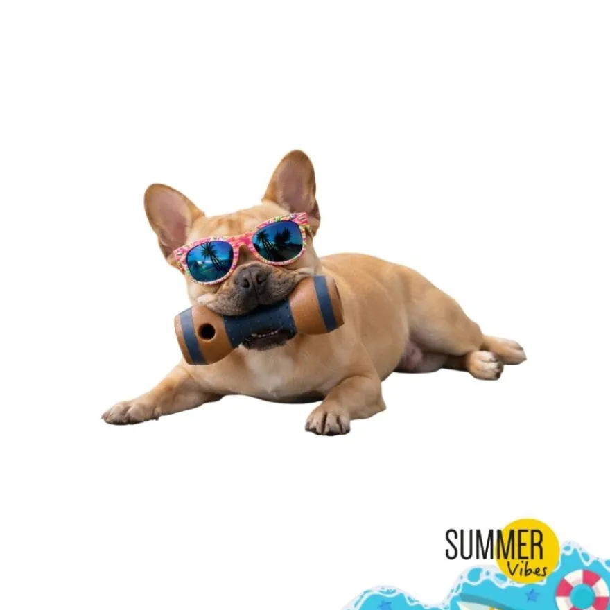 Summer Vibes Chew Dumbbell Mordedor para cães