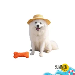 Summer Vibes Cooling Bone Orange Mordedor para cães
