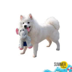 Summer Vibes Dolce Vita Elephant Peluche para cães