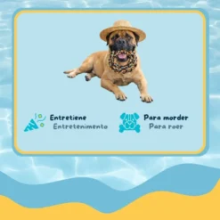 Summer Vibes Dolce Vita Rope Ring Brinquedo para cães
