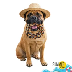 Summer Vibes Dolce Vita Rope Ring Brinquedo para cães