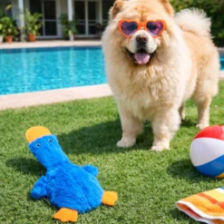 Summer Vibes Dolce Vita Skinny Duck Peluche para cães