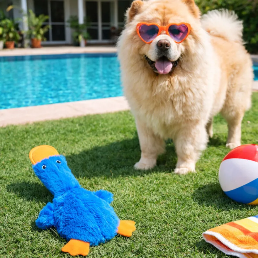 Summer Vibes Dolce Vita Skinny Duck Peluche para cães