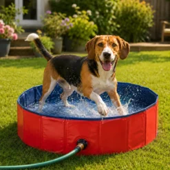 Summer Vibes Fresh Pool Piscina Vermelha para cães