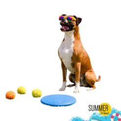 Summer Vibes Frisbee x 3 Balls Kit Bolas e Frisbee para cães