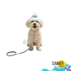 Summer Vibes Pack Trela e Coleira Dolce Vita para Cães