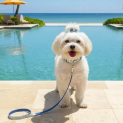 Summer Vibes Pack Trela e Coleira Dolce Vita para Cães