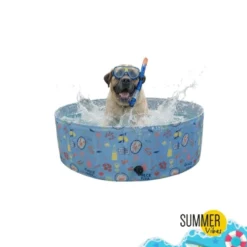 Summer Vibes Pool Funny Dolce Vita Piscina para cães