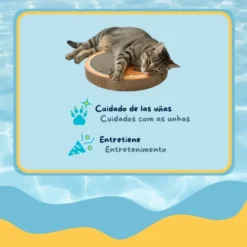 Summer Vibes Scratcher Orange Arranhador em Cartão para gatos
