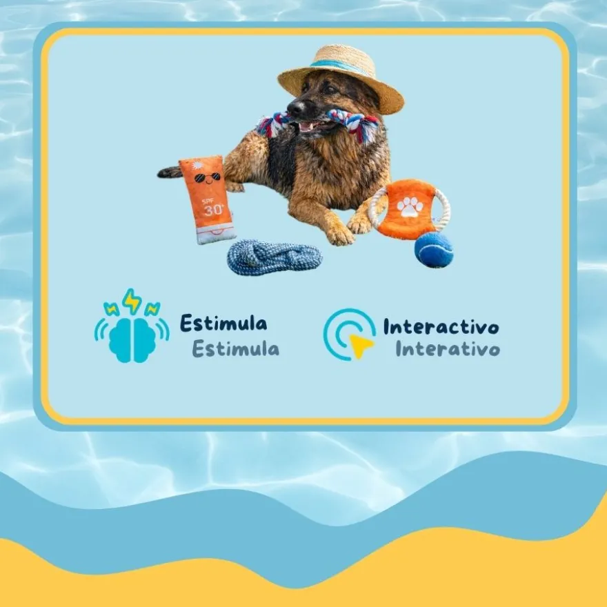 Summer Vibes The Beach Club Set x5 Brinquedos para cães