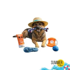 Summer Vibes The Beach Club Set x5 Brinquedos para cães