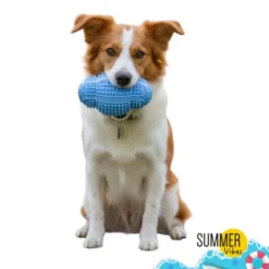 Summer Vibes TPR Chew Rugby Brinquedo para cães