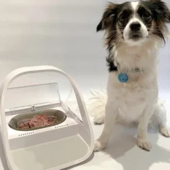 Sure Petcare Surefeed Comedouro Automático com Microchip