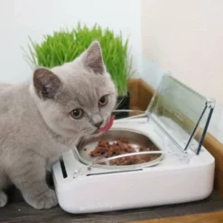 Sure Petcare Surefeed Comedouro Automático com Microchip