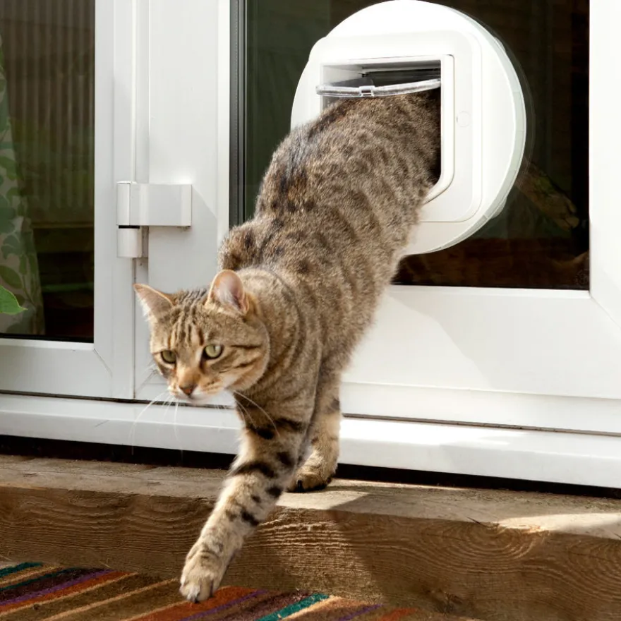 Sure Petcare SureFlap Porta Automática Branca com Microchip