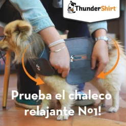 Thundershirt Colete Anti-Stress para cães