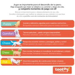 Tootoy! Ball launcher Green Lança Bolas Automático para cães
