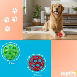 Tootoy! Chase Bola Hexahole média para cães