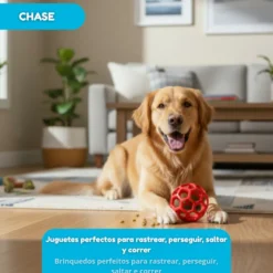Tootoy! Chase Bola Hexahole média para cães