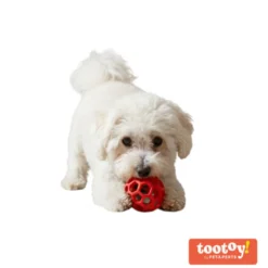 Tootoy! Chase Bola Hexahole média para cães