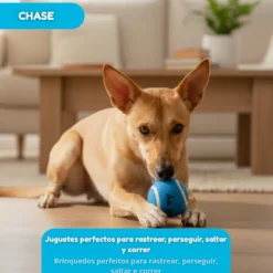 Tootoy! Chase Conjunto 3 bolas com apito mini para cães