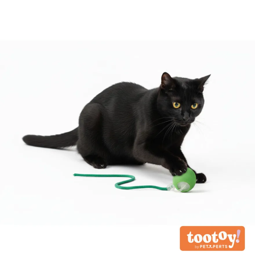 Tootoy! Chase & Play Bola interativa para gatos