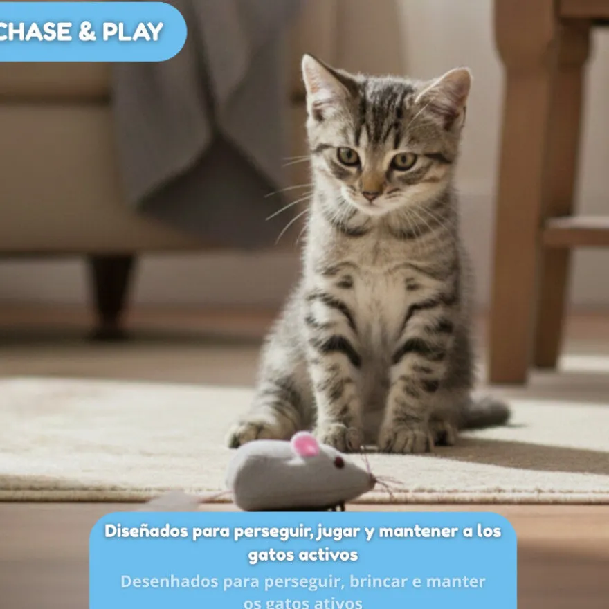 Tootoy! Chase & Play Brinquedo Rato interativo de correr para gato