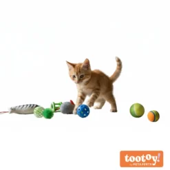 Tootoy! Chase & Play Fun set Kit de brinquedos para gatos