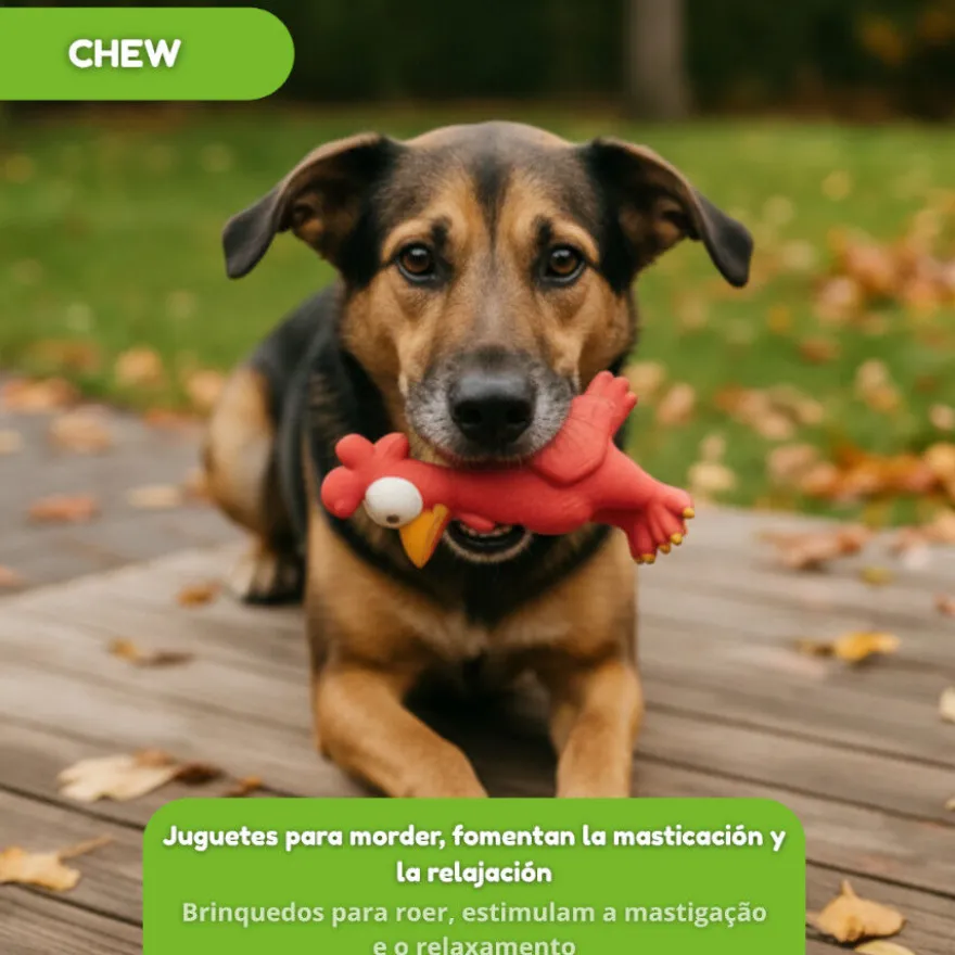 Tootoy! Chew Brinquedo galinha divertida para cães