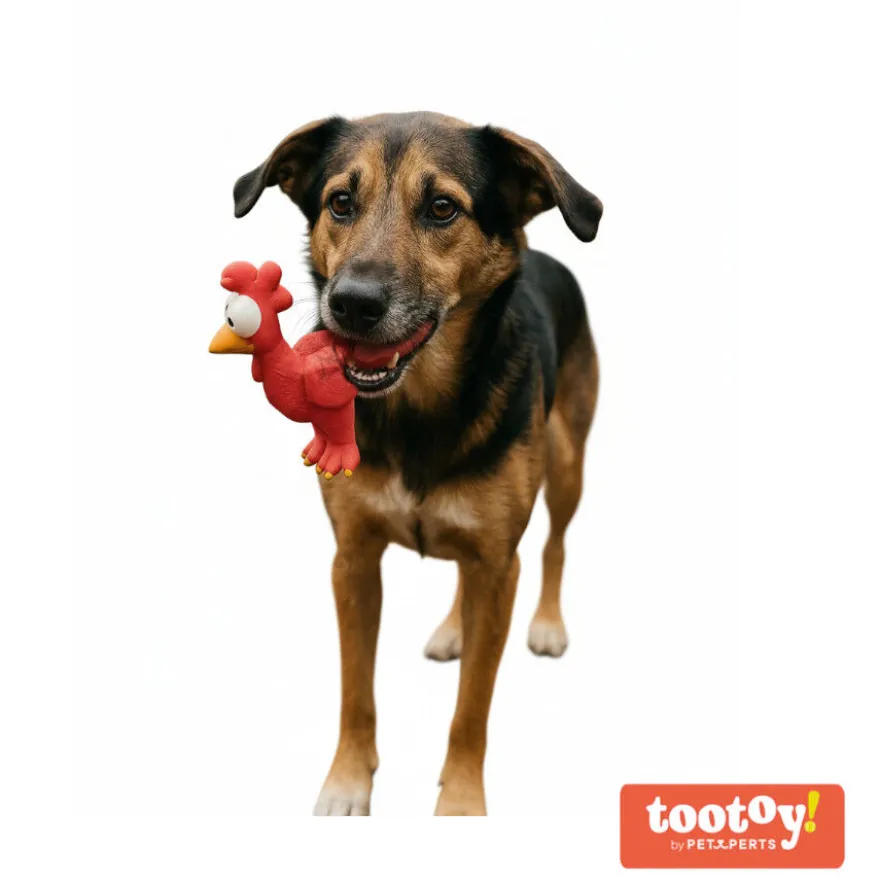 Tootoy! Chew Brinquedo galinha divertida para cães