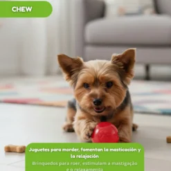 Tootoy! Chew Brinquedo interativo dispensador de snacks para cães