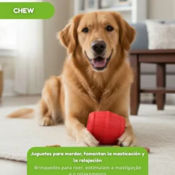 Tootoy! Chew Brinquedo interativo dispensador de snacks para cães