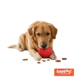 Tootoy! Chew Brinquedo interativo dispensador de snacks para cães