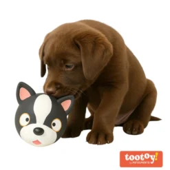 Tootoy! Chew Bulldog Francês mordedor de látex com som para cães