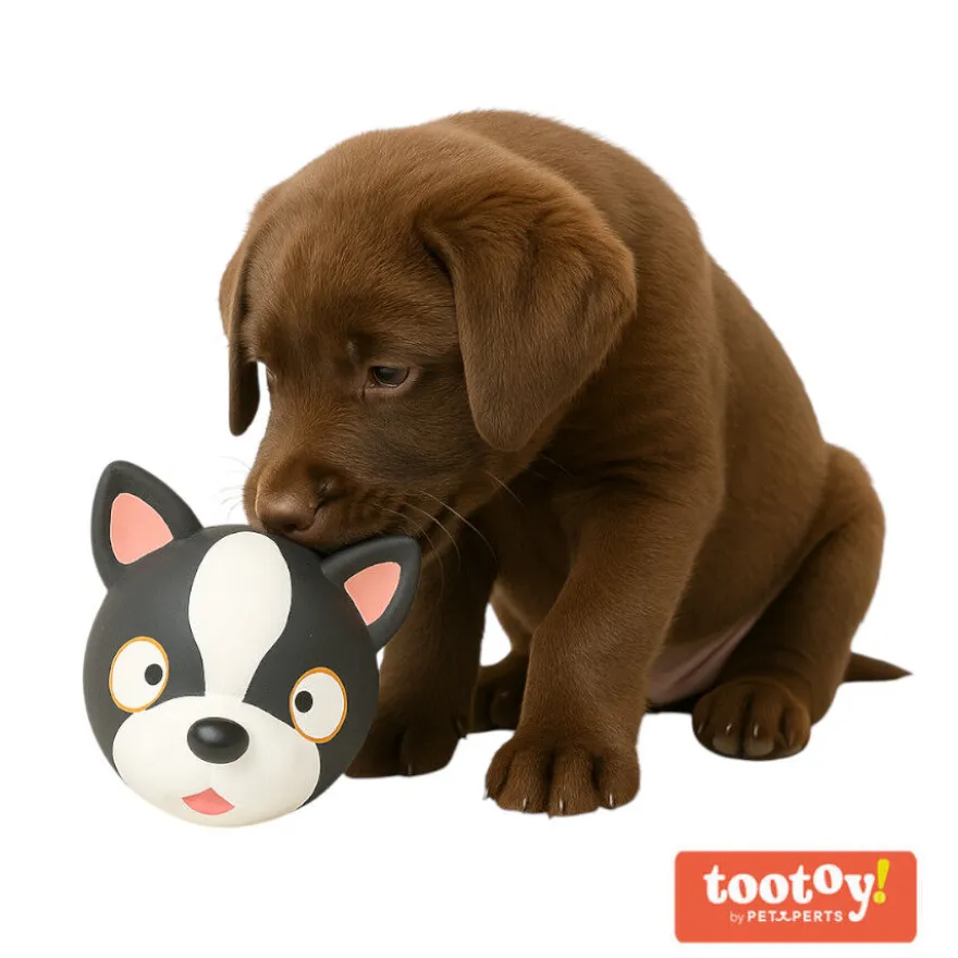Tootoy! Chew Bulldog Francês mordedor de látex com som para cães