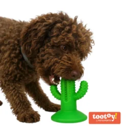 Tootoy! Chew Dental Hygiene Cactus Mordedor para cães