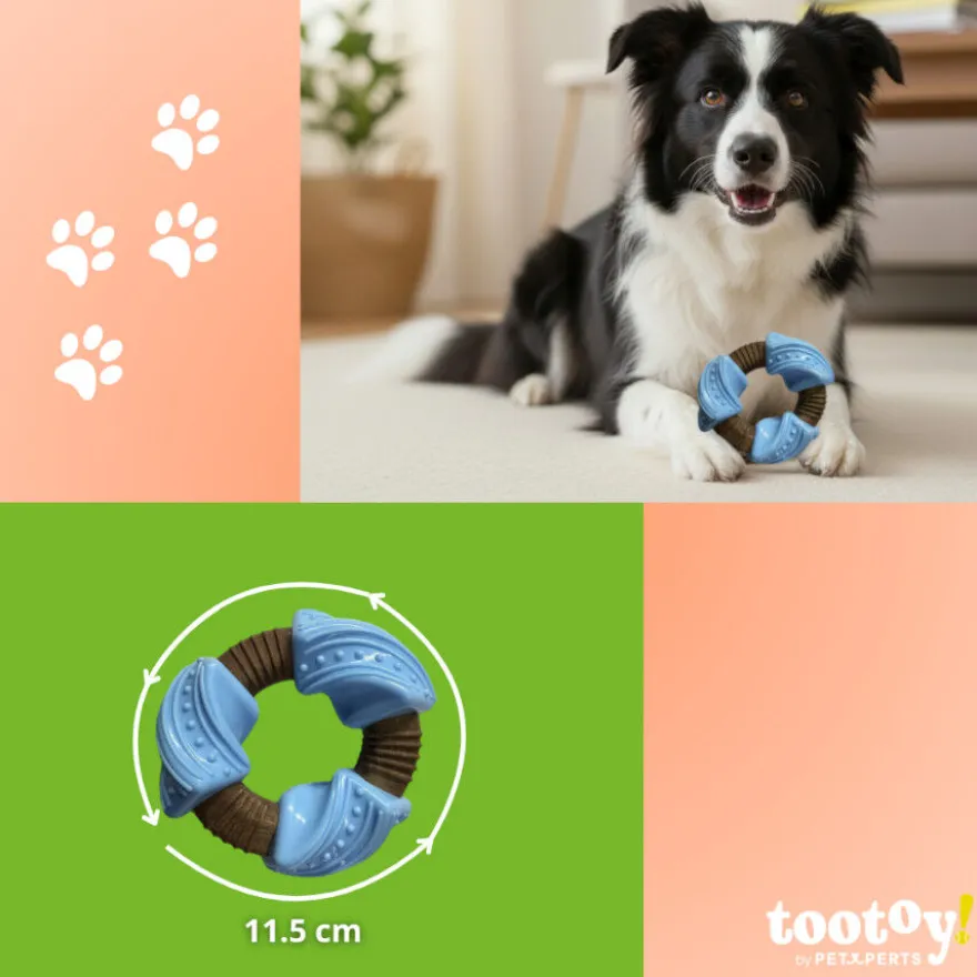 Tootoy! Chew Mordedor anel dentário para cães