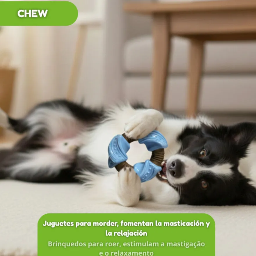 Tootoy! Chew Mordedor anel dentário para cães
