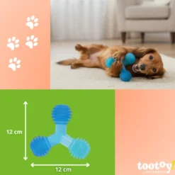 Tootoy! Chew Mordedor bola tripla para cães