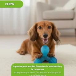 Tootoy! Chew Mordedor bola tripla para cães