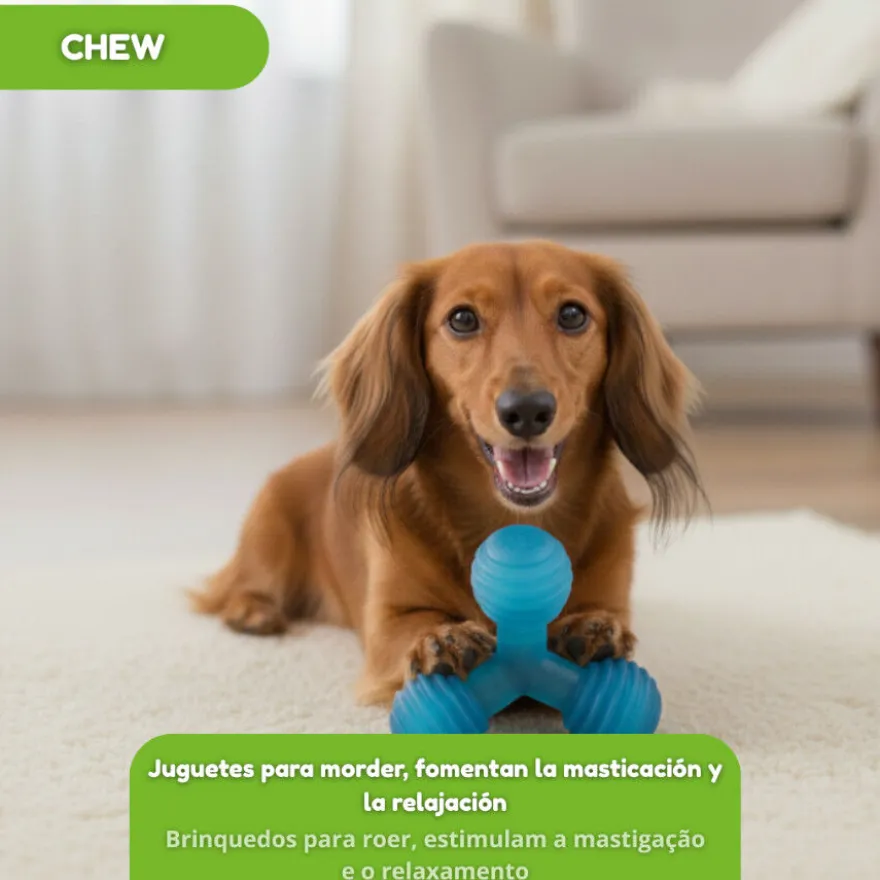Tootoy! Chew Mordedor bola tripla para cães