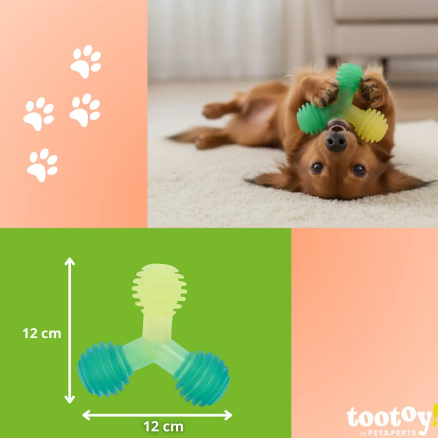 Tootoy! Chew Mordedor bola tripla para cães