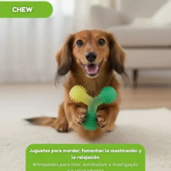 Tootoy! Chew Mordedor bola tripla para cães