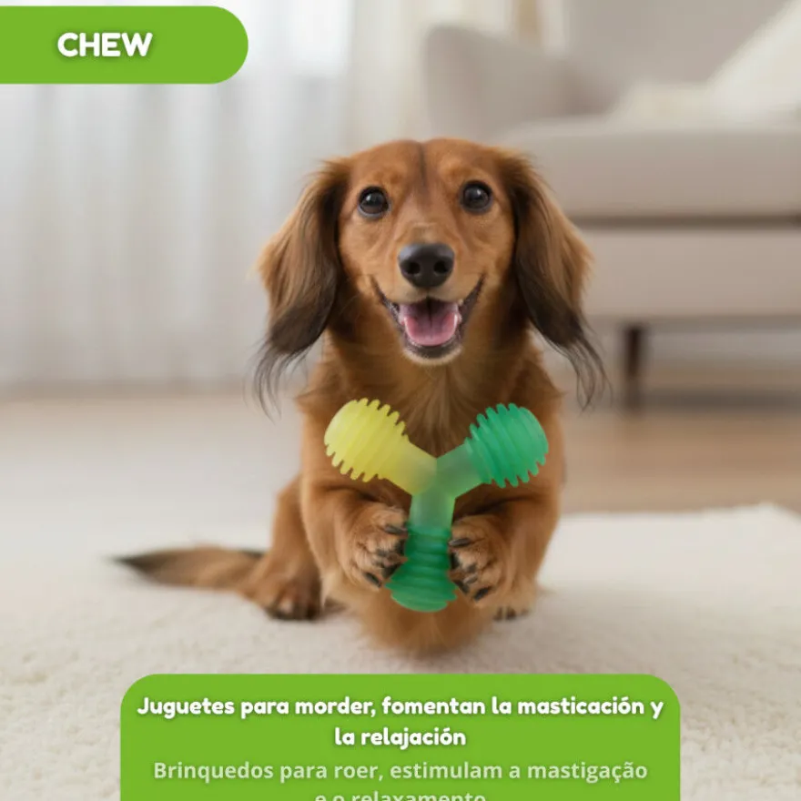 Tootoy! Chew Mordedor bola tripla para cães