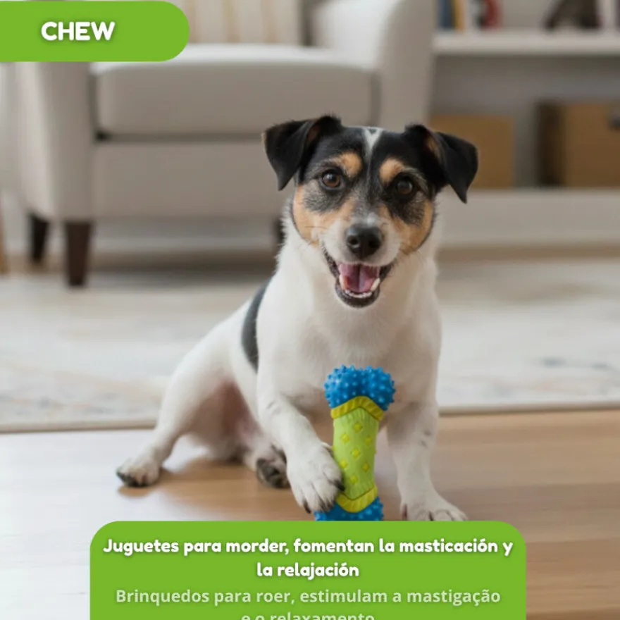 Tootoy! Chew Mordedor dental com apito para cães