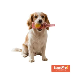 Tootoy! Chew Mordedor garrafa pequena para cães
