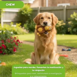 Tootoy! Chew Mordedor Macaquinho Chimpanzé para cães