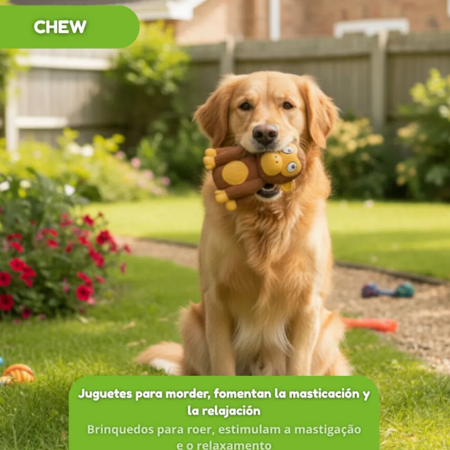 Tootoy! Chew Mordedor Macaquinho Chimpanzé para cães
